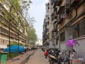 嵩山路 中段 三楼 两室 可贷款 看房方便