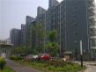 京洲世家实景图