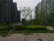 京洲世家实景图