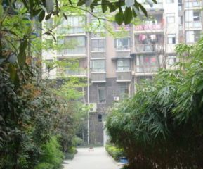 金域港湾3室2厅南