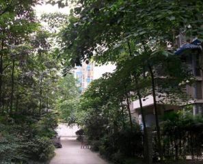 金域港湾3室2厅西北