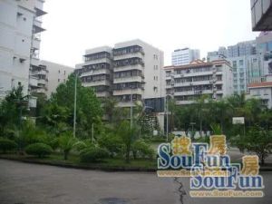 满五唯一中间楼层大院环境停车方便物业尽责