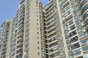 低密度小高层凤凰楼层可看湖景地铁900米博才可用