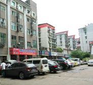 泰禹公馆1室1厅南