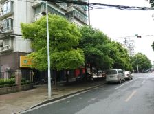 中扬华苑3室3厅南