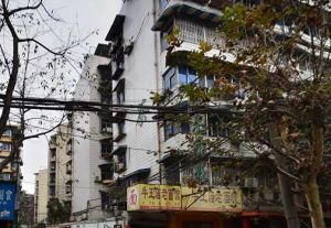 晓初公寓(金牛)4室1厅东南
