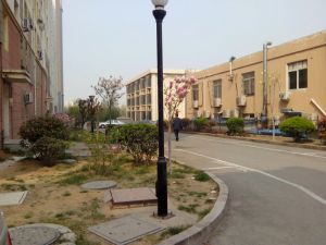 晟业小区2室1厅南