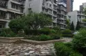 长江委长顺园小区实景图