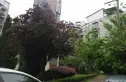 长江委长顺园小区实景图
