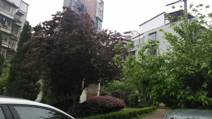 长江委长顺园小区实景图