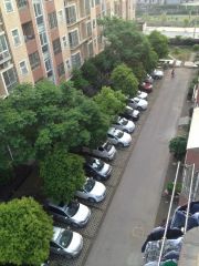 山水庭院西区3室1厅东南