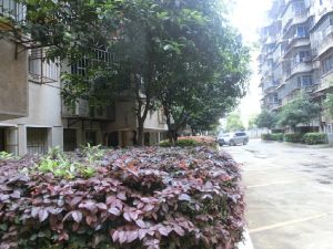 下民航宿舍3室2厅南北