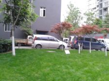 东城攻略1室0厅西南