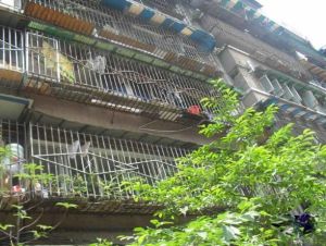 石人北路100号1室1厅东南