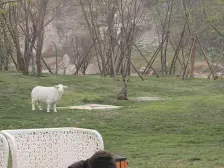 世茂原山首府 3室2厅 南 北