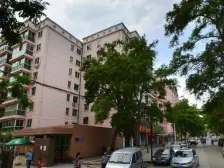 绿莹花园 2室1厅 南 北