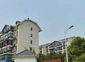 江滨玫瑰园户型好南北对流居家精装三楼步梯房