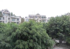 怡丰花园3室2厅东南