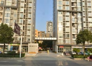 雕刻时光 2室1厅 东南