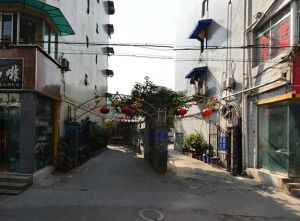 西丁字街5号 3室1厅 东南