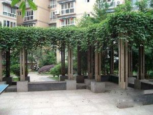 嘉合苑3室1厅东南