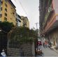 启明西苑实景图