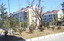 龙门佳苑实景图