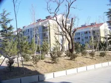 龙门佳苑二楼136平 带南向车库 带小房