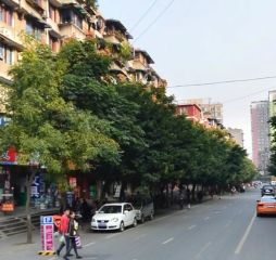 枣子巷17号2室1厅南北