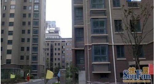 天官和庭实景图