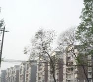 高桥B42室1厅南