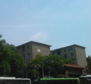 朝阳一村2室1厅东南
