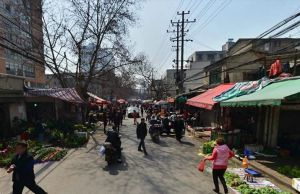 聚福园3室2厅北