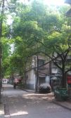 五一东村2室1厅南