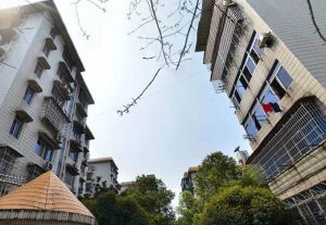 市政协宿舍3室2厅南北