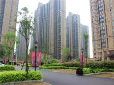 中海国际社区二期1室1厅南