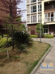 世宏锦舍 2室1厅 南