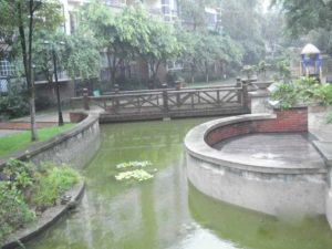 花样年华常青藤4室2厅南
