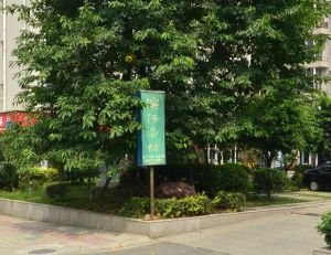 滨河丽景2室2厅南东