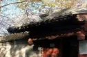 西单西斜街实景图
