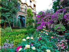 这是一个住在千亩公园的家 环境好空气好