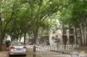 梧桐苑实景图