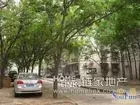 梧桐苑实景图