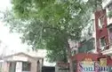梧桐苑实景图