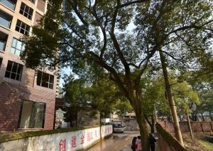 刚需小三房,精装修拎包入住,房东诚心出售
