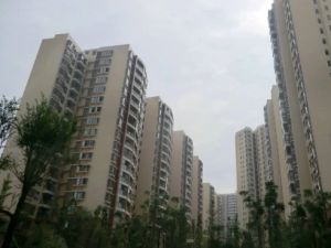 格林大道2室1厅东