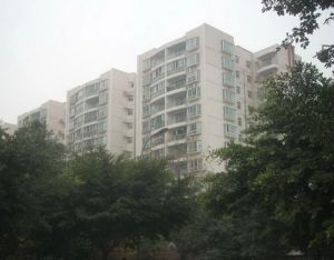 三十所宿舍3室1厅东南