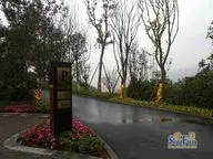 龙湖紫云台精装3房可直接拎包入住