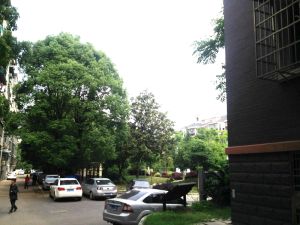 梅苑家园4室2厅南北