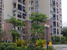 西江滨电梯高层全明通风好两房总价低